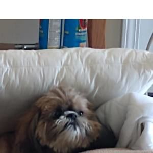 Meet your Posher, Ken